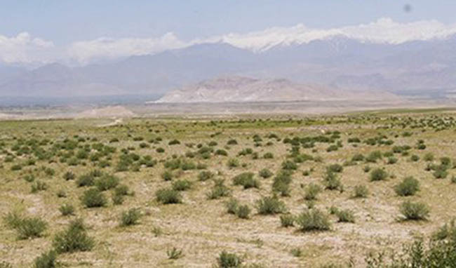 Govt. to Report on Land Grabbing At Brussels Summit